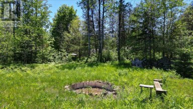 2523 OLD HASTINGS ROAD Limerick Ontario photo 48