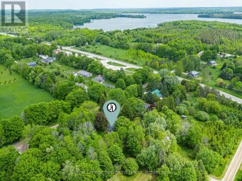 172 PARK STREET Grey Highlands Ontario photo 2