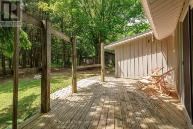 172 PARK STREET Grey Highlands Ontario photo 25