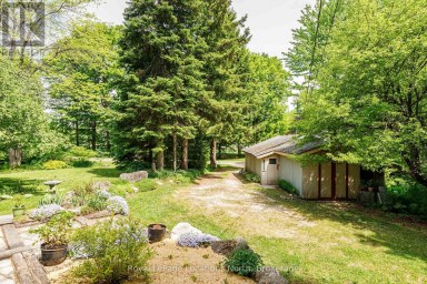 172 PARK STREET Grey Highlands Ontario photo 36