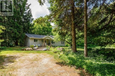 172 PARK STREET Grey Highlands Ontario photo 40