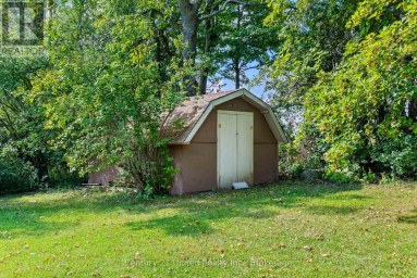 768 COTTINGHAM ROAD Kawartha Lakes (Omemee) Ontario photo 41