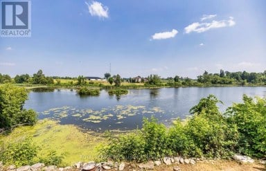 4395 HIGHWAY 7 Asphodel-Norwood (Norwood) Ontario photo 42