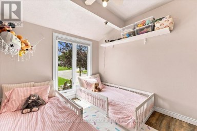 10 JAMIESON DRIVE Adjala-Tosorontio (Rosemont) Ontario photo 13