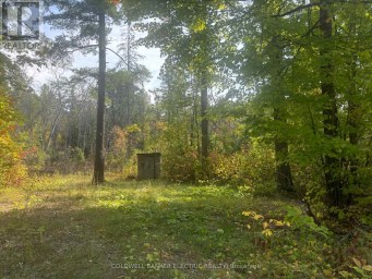 0 PINEVIEW COURT Marmora and Lake (Marmora Ward) Ontario photo 2