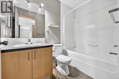 177 Royal Birch Terrace NW Calgary Alberta photo 24