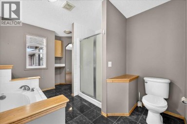 177 Royal Birch Terrace NW Calgary Alberta photo 31