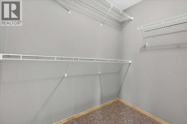 177 Royal Birch Terrace NW Calgary Alberta photo 32