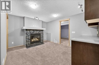 177 Royal Birch Terrace NW Calgary Alberta photo 38