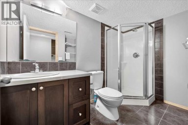 177 Royal Birch Terrace NW Calgary Alberta photo 43