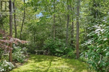 114 STANLEY STREET Collingwood Ontario photo 41