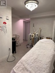 UNIT 10 - 10610 BAYVIEW AVENUE Richmond Hill (Crosby) Ontario photo 6