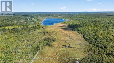 192 CROOKSTON ROAD Centre Hastings Ontario photo 27