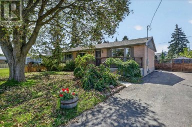 70 ELMORE STREET Trent Hills (Campbellford) Ontario photo 4
