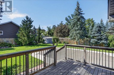 70 ELMORE STREET Trent Hills (Campbellford) Ontario photo 43