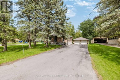 23 WOOD STREET Quinte West (Murray Ward) Ontario photo 5