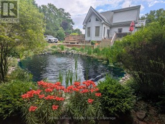 23 DURHAM STREET Newbury Ontario photo 40