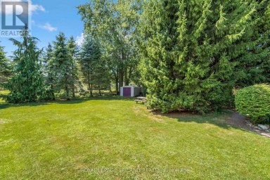 23 DURHAM STREET Newbury Ontario photo 42