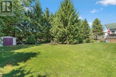23 DURHAM STREET Newbury Ontario photo 43