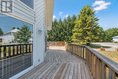 23 DURHAM STREET Newbury Ontario photo 6