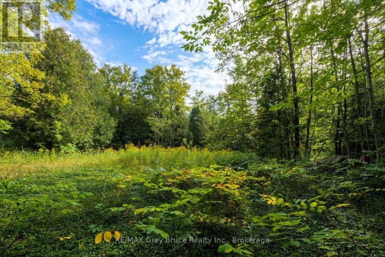 1477 HIGHWAY 6 HIGHWAY, South Bruce Peninsula, Ontario, N0H2T0