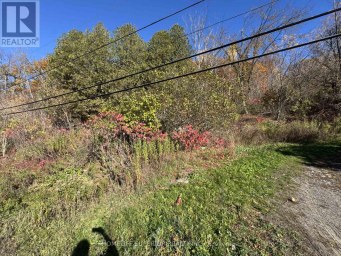 58 MAIN STREET Marmora and Lake (Marmora Ward) Ontario photo 2