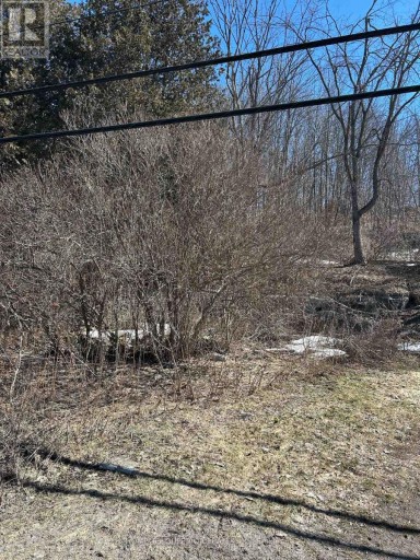 58 MAIN STREET, Marmora and Lake (Marmora Ward), Ontario, K0K2M0