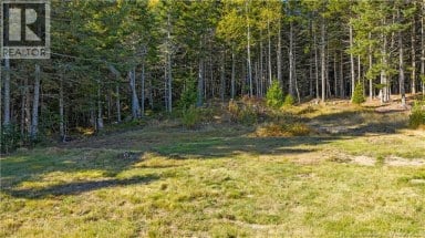 338 Route 176 Pennfield New Brunswick photo 38
