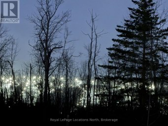 2-372 GREY ROAD 21 ROAD Blue Mountains Ontario photo 16