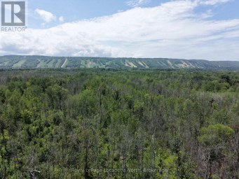 2-372 GREY ROAD 21 ROAD Blue Mountains Ontario photo 2