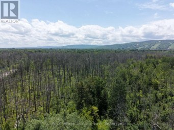 2-372 GREY ROAD 21 ROAD Blue Mountains Ontario photo 4