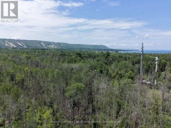 1-372 GREY ROAD 21 ROAD Blue Mountains Ontario photo 20