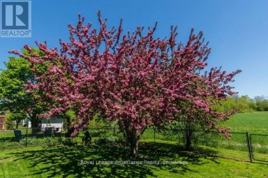 51 APPLEWOOD DRIVE Brighton Ontario photo 36