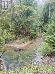 33 SLALOM GATE ROAD Collingwood Ontario photo 49