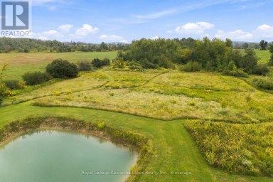 3313 HWY 7 HIGHWAY Kawartha Lakes (Ops) Ontario photo 10