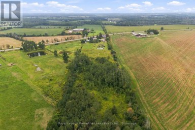 3313 HWY 7 HIGHWAY Kawartha Lakes (Ops) Ontario photo 11