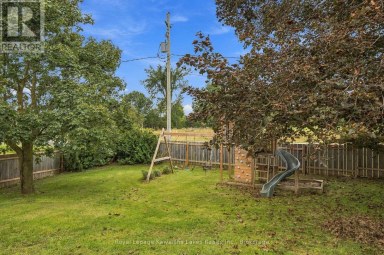 3313 HWY 7 HIGHWAY Kawartha Lakes (Ops) Ontario photo 37