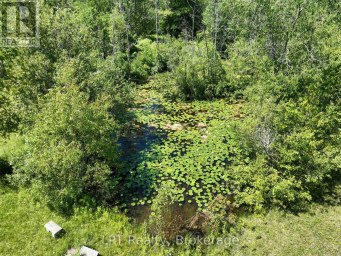 172 BRYANT STREET South Bruce Peninsula Ontario photo 42