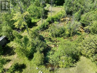 172 BRYANT STREET South Bruce Peninsula Ontario photo 43