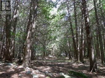 387 CHRISTIAN LANE, Stone Mills Ontario