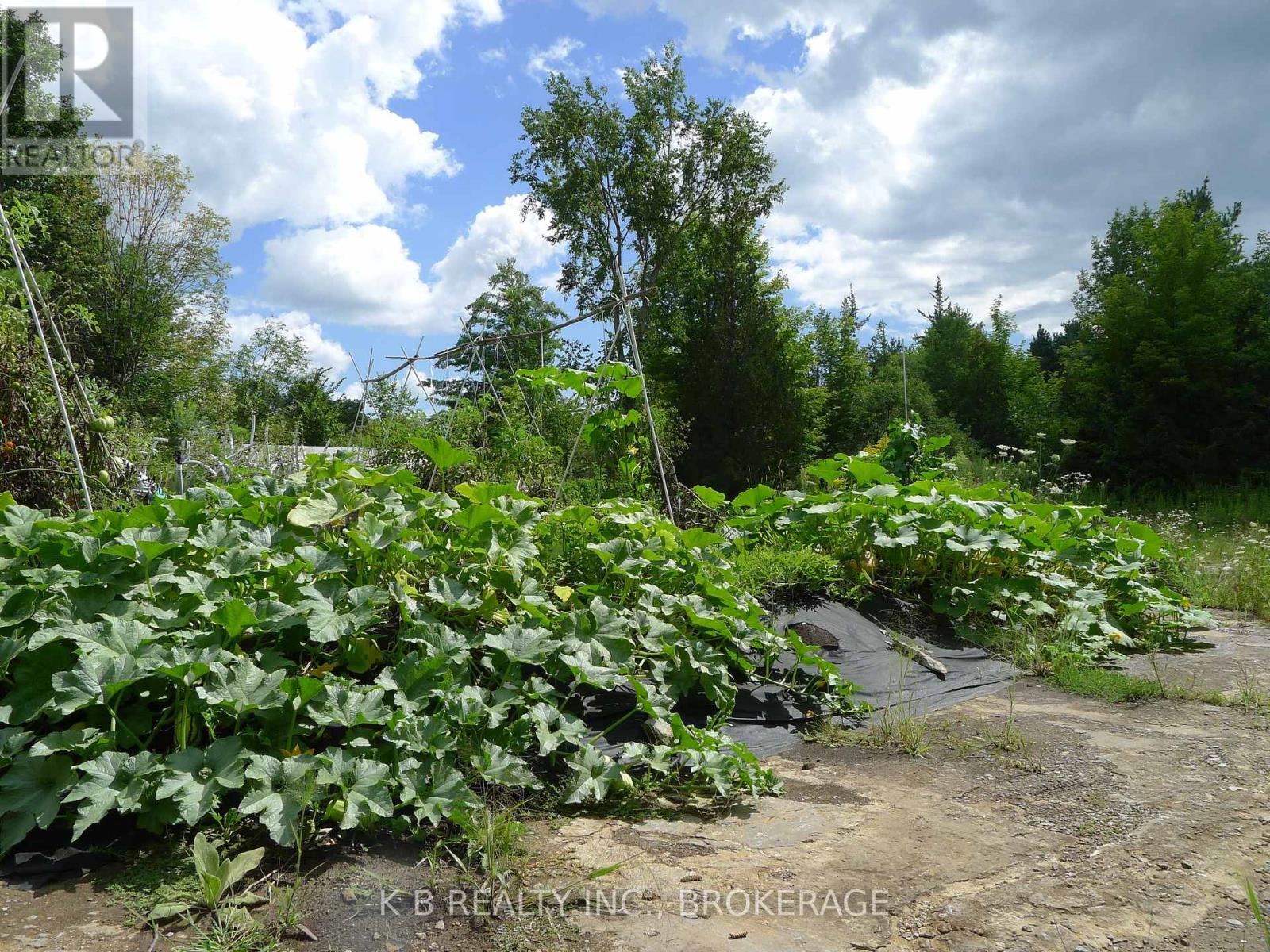 387 CHRISTIAN LANE, Stone Mills Ontario