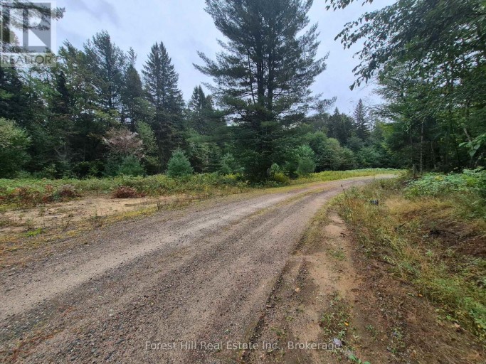 335 WOODLAND DRIVE, McMurrich/Monteith (McMurrich), Ontario