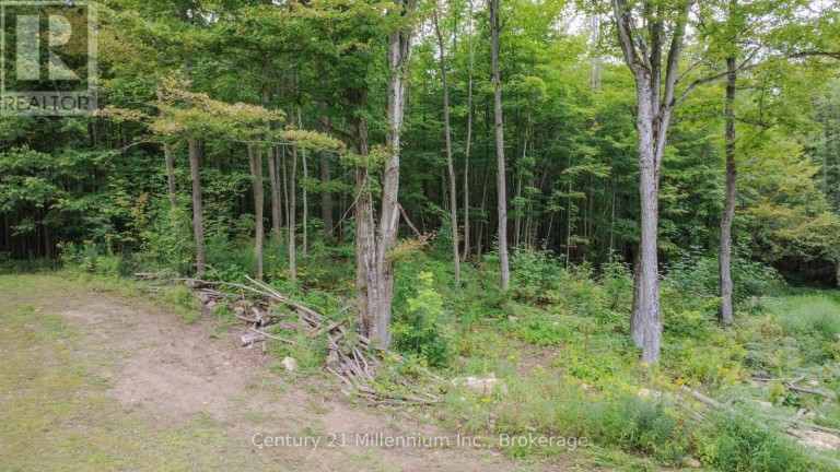200185 SIDEROAD 10, Georgian Bluffs, Ontario, N0H2K0