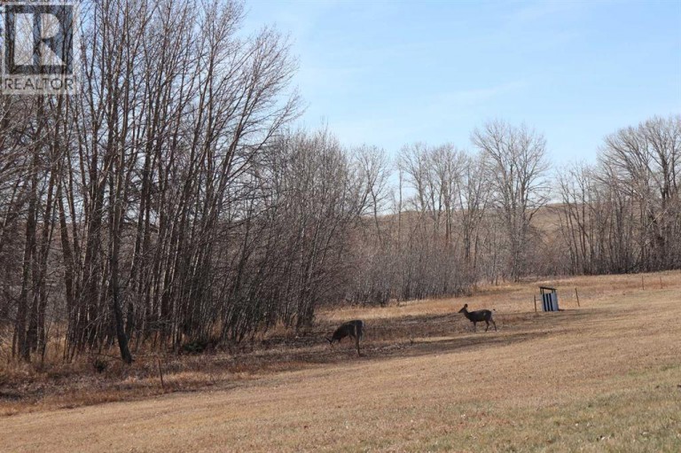 663 Lakeside Drive, Rural Vulcan County, Alberta, T0L0R0