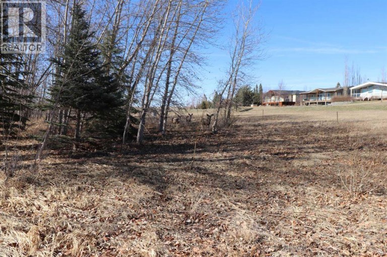 663 Lakeside Drive, Rural Vulcan County, Alberta, T0L0R0