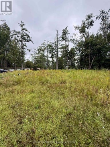 1004 CHIPPAWA AVENUE, Gravenhurst (Muskoka (S)), Ontario, P1P1R1