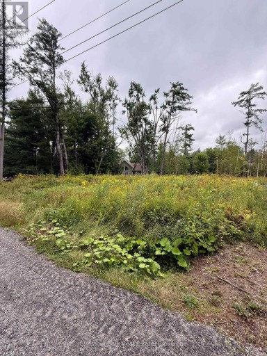 1004 CHIPPAWA AVENUE, Gravenhurst (Muskoka (S)), Ontario, P1P1R1