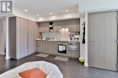 812 - 17 BATHURST STREET Toronto (Waterfront Communities) Ontario photo 3