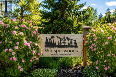 9 TRAFALGAR ROAD Collingwood Ontario photo 5