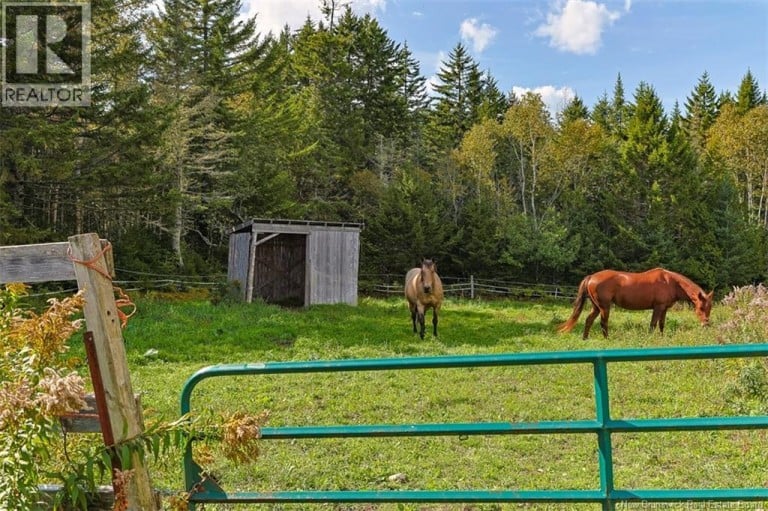 2078 Route 845, Bayswater, New Brunswick, E5S1J6